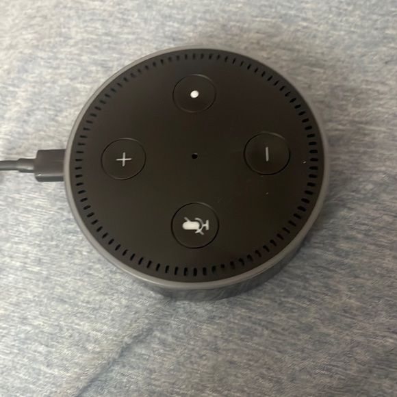 Alexa - Picture 1 of 2